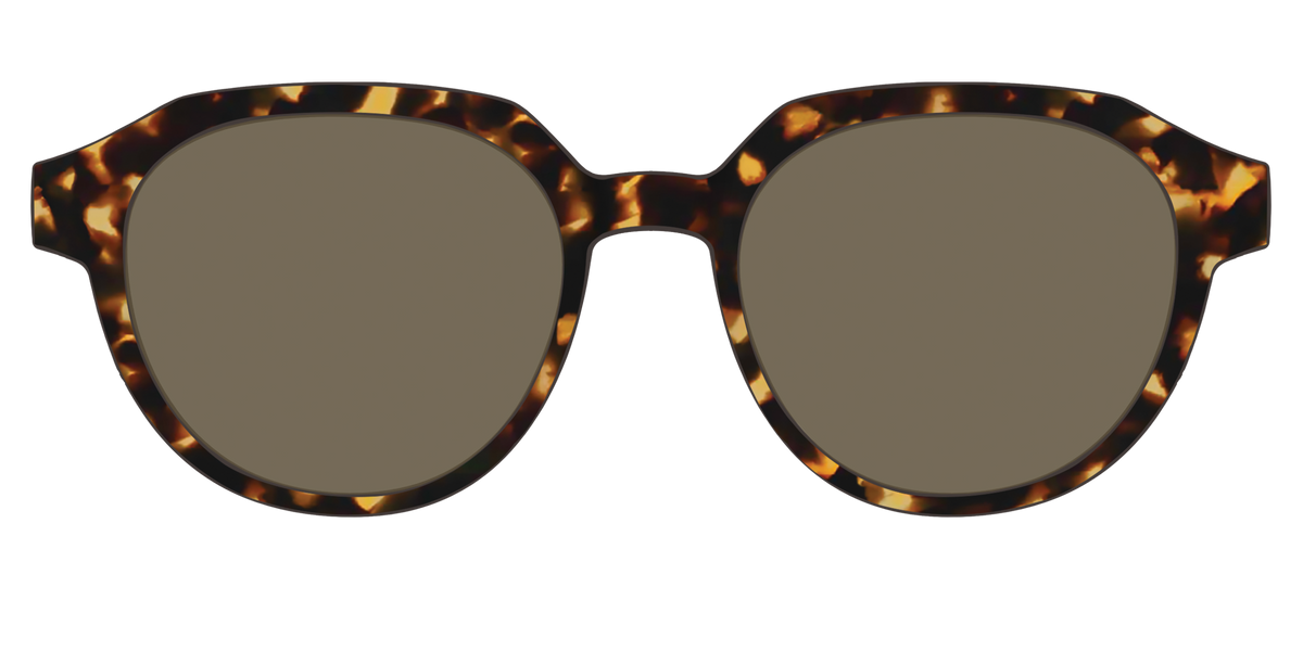 The Non-Polarized Tortoise Sun Top - Front Top Image - Pair Eyewear