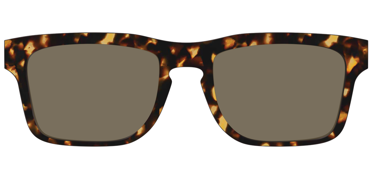 The Non-Polarized Tortoise Sun Top - Front Top Image - Pair Eyewear