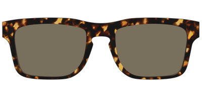 The Non-Polarized Tortoise Sun Top - Front Top Thumbnail - Pair Eyewear