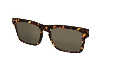 The Non-Polarized Tortoise Sun Top - Angle Top Thumbnail - Pair Eyewear