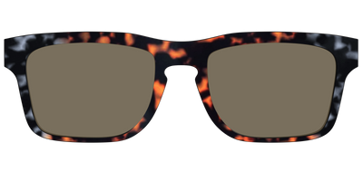The Polarized Gray & Amber Tortoise Sun Top - Front Top Thumbnail - Pair Eyewear