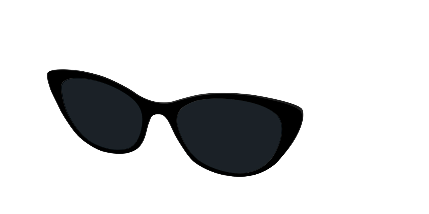 The Non-Polarized Black Sun Top - Angle Top Image - Pair Eyewear
