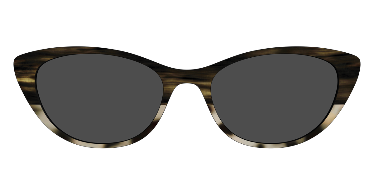 The Polarized Horn Tortoise Sun Top - Front Top Image - Pair Eyewear