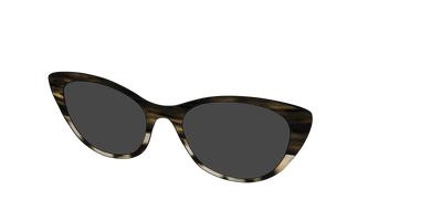 The Polarized Horn Tortoise Sun Top - Angle Top Thumbnail - Pair Eyewear