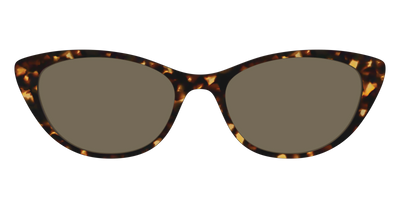 The Non-Polarized Tortoise Sun Top - Front Top Thumbnail - Pair Eyewear
