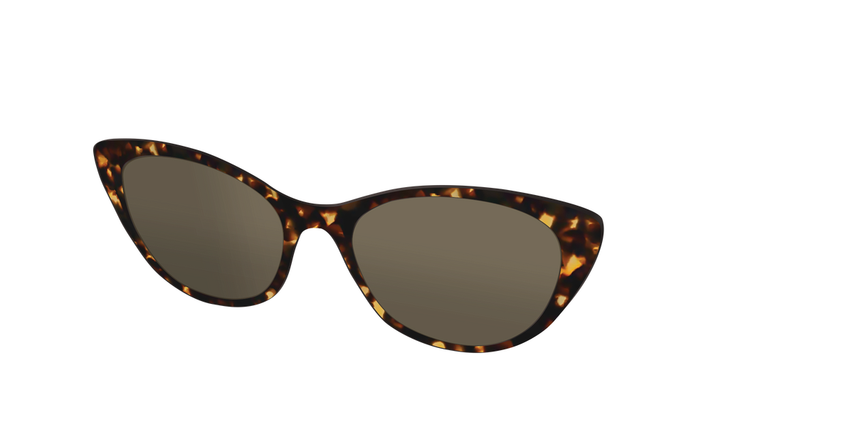 The Non-Polarized Tortoise Sun Top - Angle Top Image - Pair Eyewear
