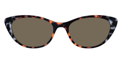The Polarized Gray & Amber Tortoise Sun Top - Front Top Thumbnail - Pair Eyewear