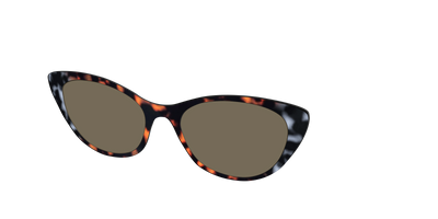 The Polarized Gray & Amber Tortoise Sun Top - Angle Top Thumbnail - Pair Eyewear