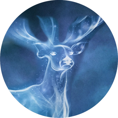 The Ravenclaw™