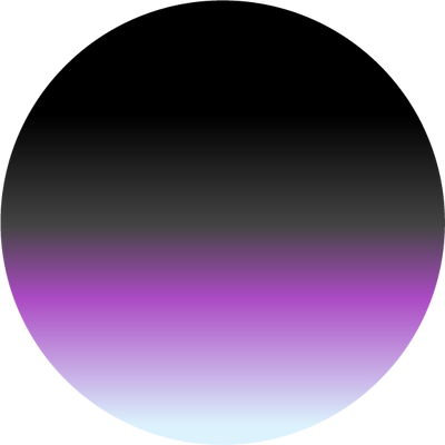 The Polarized Midnight Abalone Sun Top