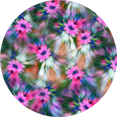 The Feline Flowers