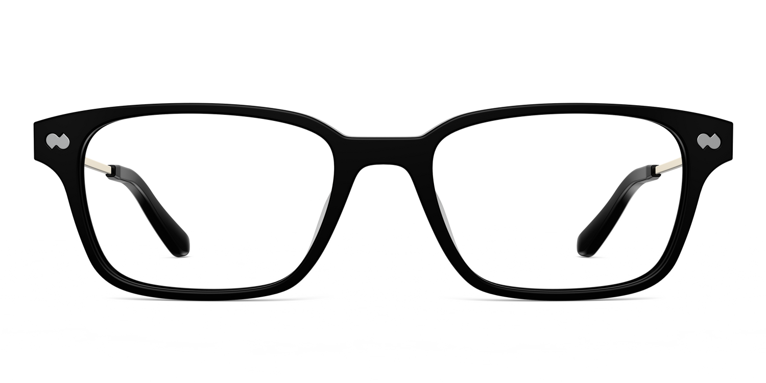 The Finley - Black Acetate Gold Metal - Carousel2 - Pair Eyewear
