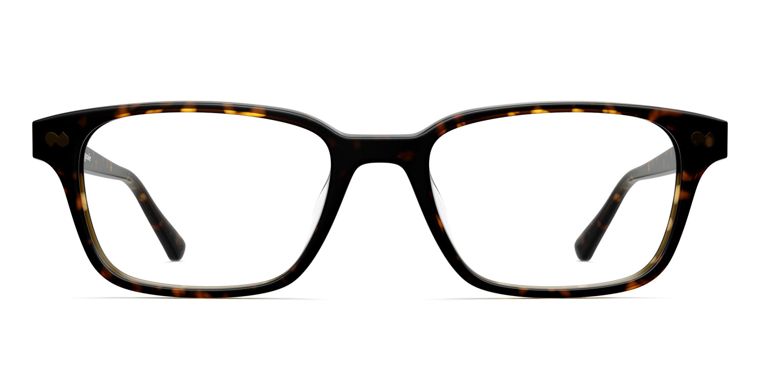 The Finley - Tortoise - Carousel1 - Pair Eyewear