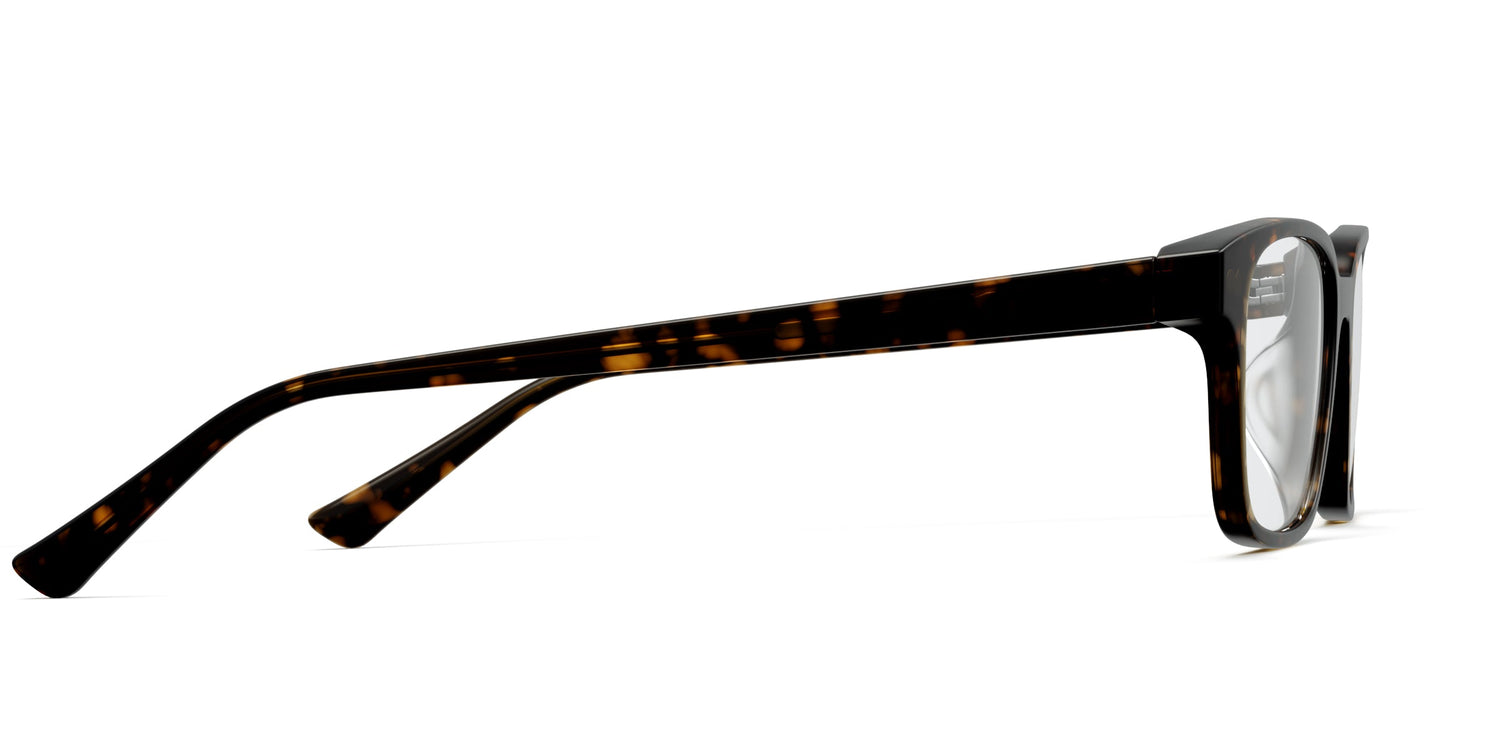 The Finley - Tortoise - Carousel3 - Pair Eyewear