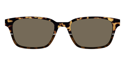 The Polarized Chic Tortoise Split Sun Top - Front Top Thumbnail - Pair Eyewear
