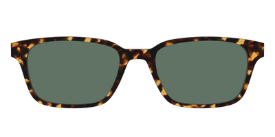 The Non-Polarized Green Tortoise Sun Top - Front Top Thumbnail - Pair Eyewear