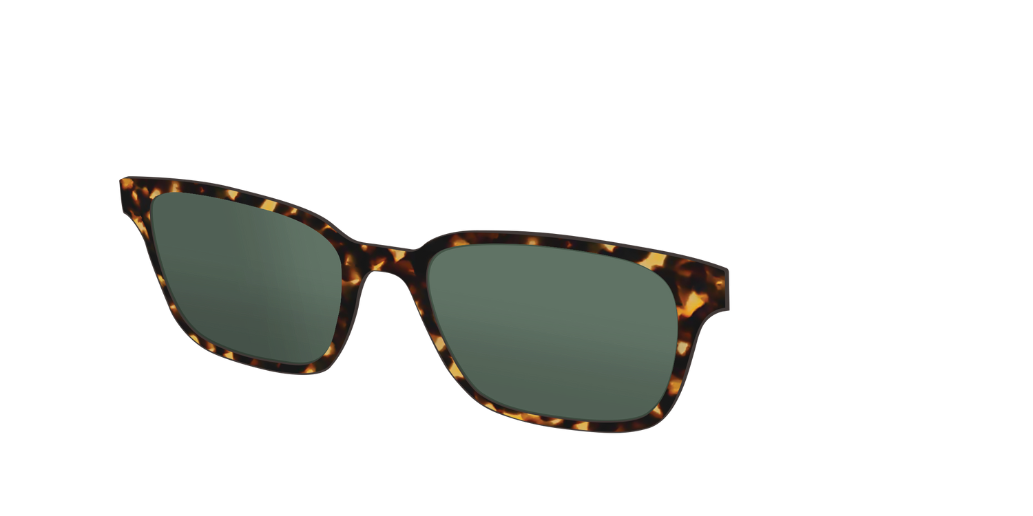 The Non-Polarized Green Tortoise Sun Top - Angle Top Image - Pair Eyewear