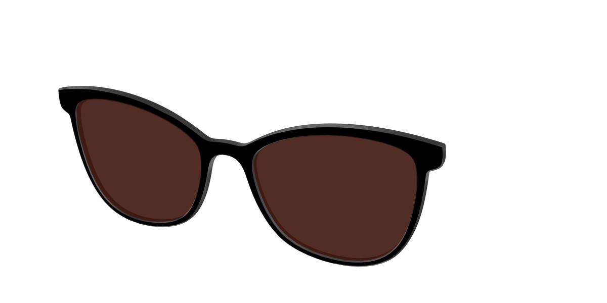The Black with Brown Golf lens - Angle Top Image - Pair Eyewear