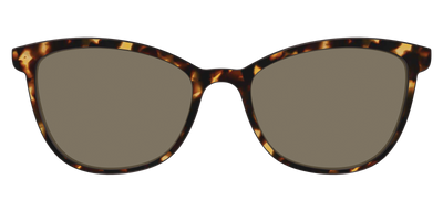 The Non-Polarized Tortoise Sun Top - Front Top Thumbnail - Pair Eyewear