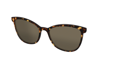 The Non-Polarized Tortoise Sun Top - Angle Top Thumbnail - Pair Eyewear