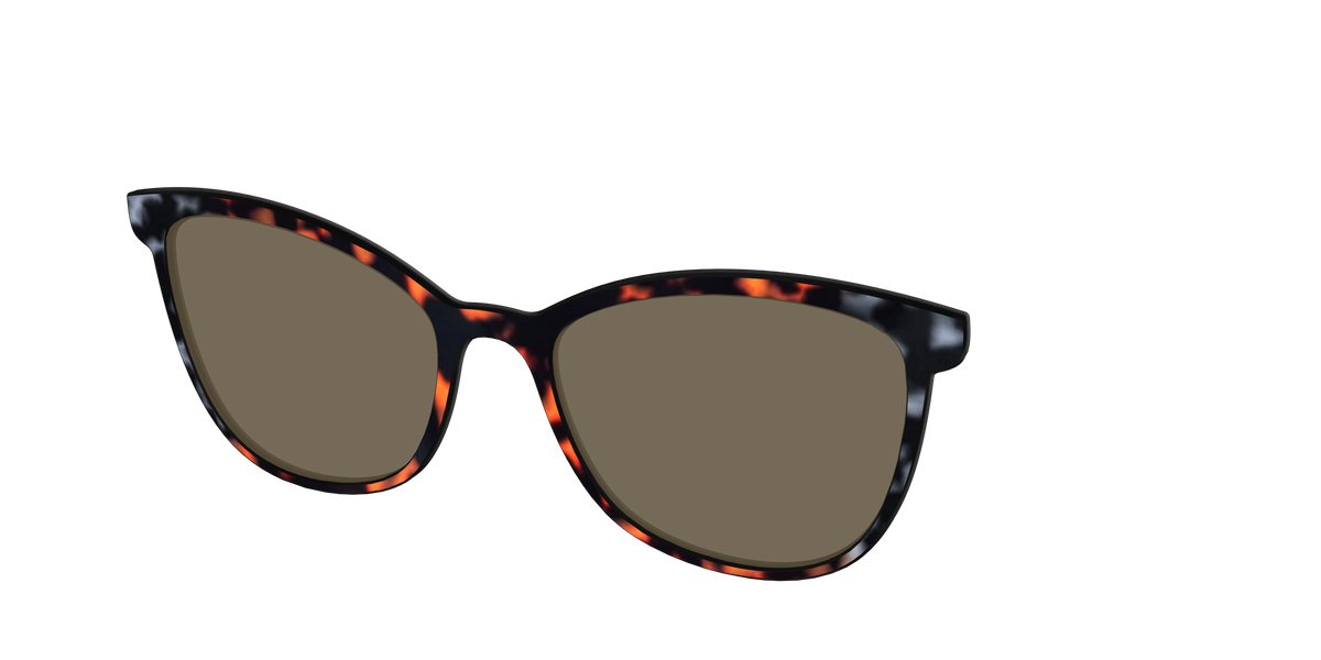 The Polarized Gray & Amber Tortoise Sun Top - Angle Top Image - Pair Eyewear