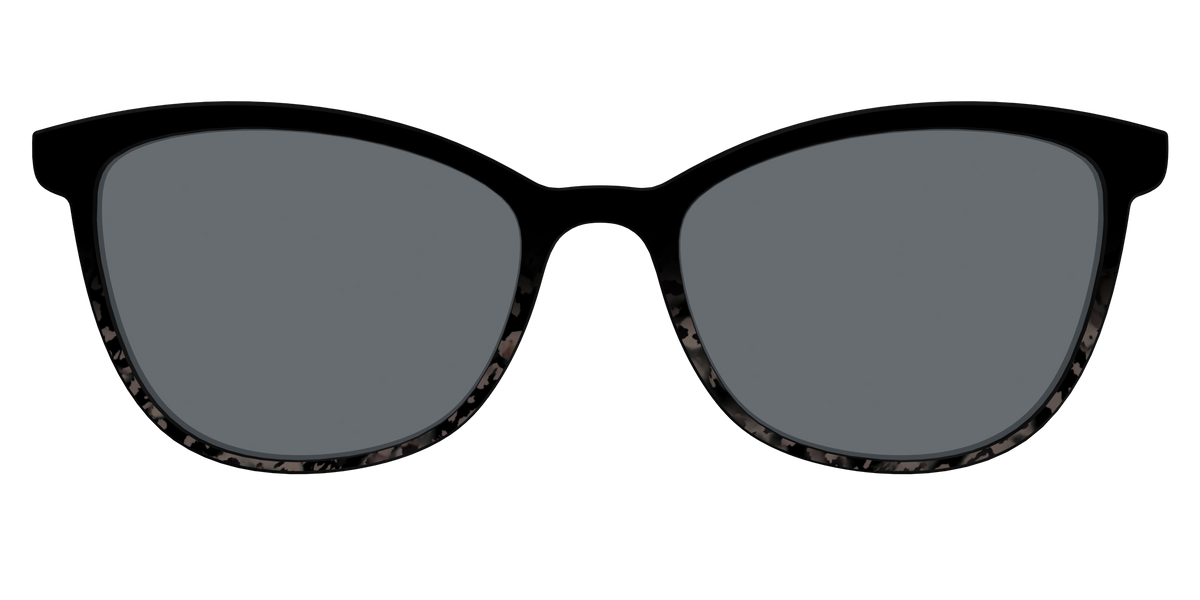 The Polarized Shaded Tortoise Sun Top - Front Top Image - Pair Eyewear