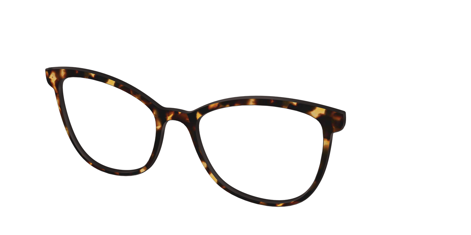 The Tortoise - Angle Top Image - Pair Eyewear