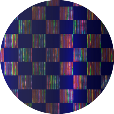 The Black Holographic Check