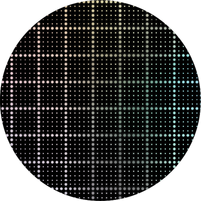 The Black Holographic Check