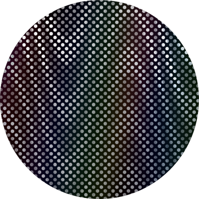 The Black Holographic Check