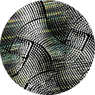 The Black Holographic Check