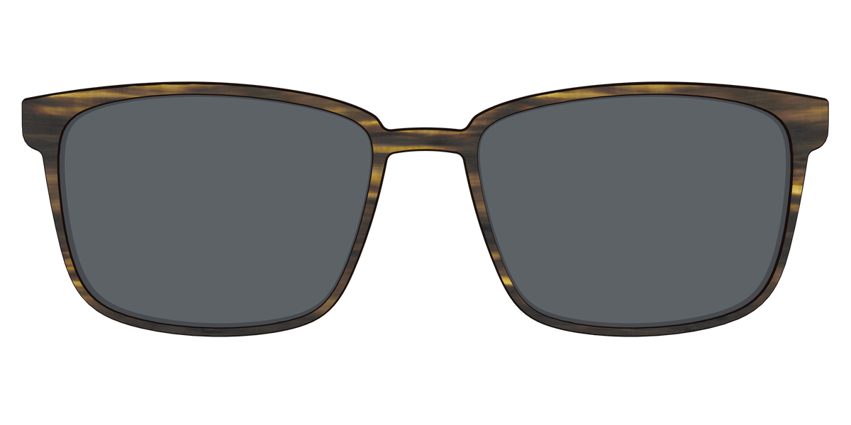 The Polarized Horn Sun Top - Front Top Image - Pair Eyewear