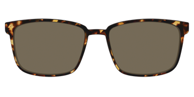 The Non-Polarized Tortoise Sun Top - Front Top Thumbnail - Pair Eyewear