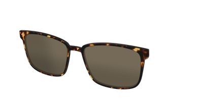 The Non-Polarized Tortoise Sun Top - Angle Top Thumbnail - Pair Eyewear