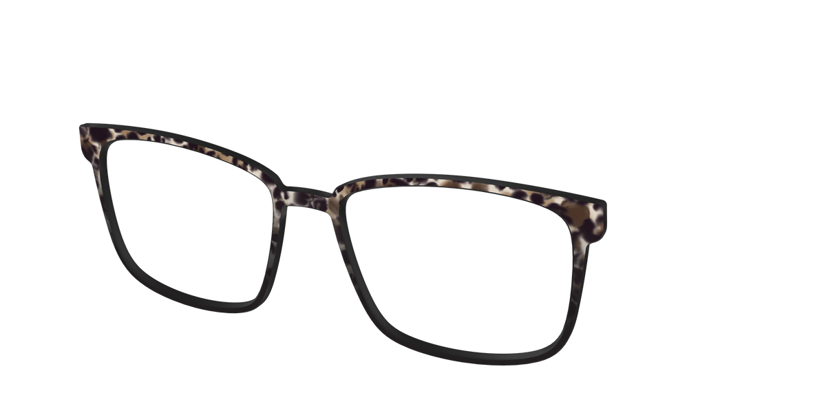 The Party Animal Tortoise - Angle Top Image - Pair Eyewear
