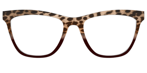The Jungle Cat Tortoise - Pair Eyewear