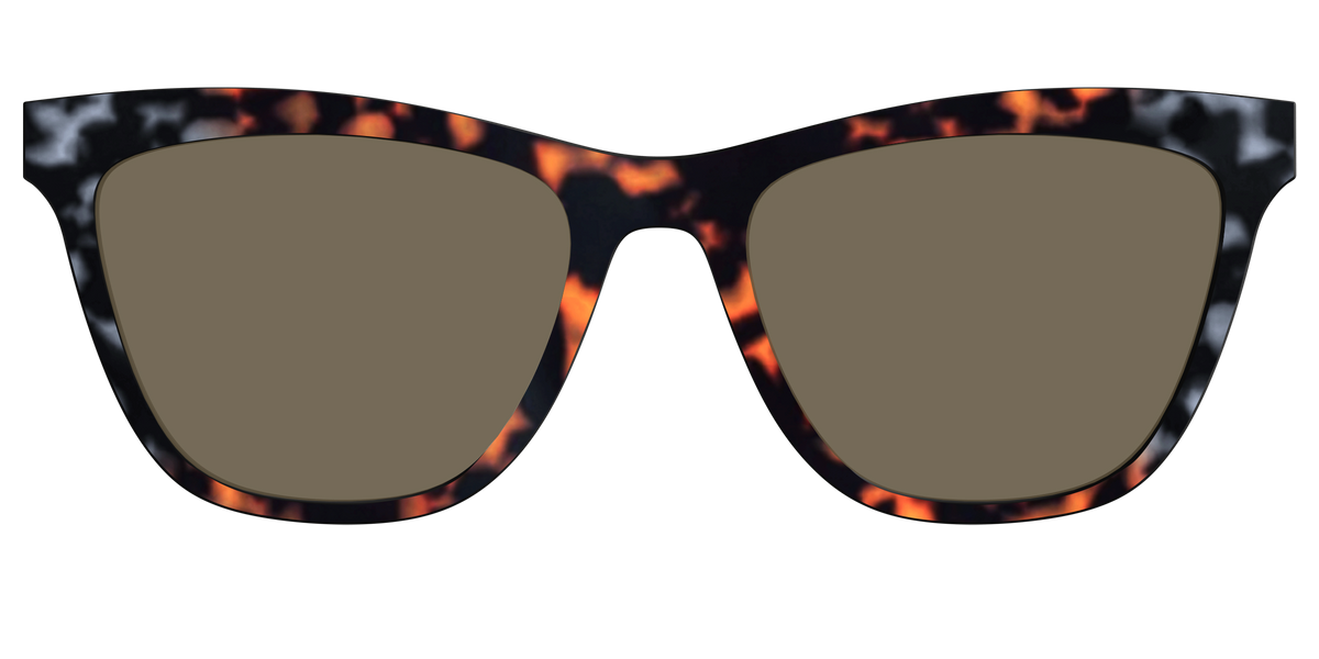 The Polarized Gray & Amber Tortoise Sun Top - Front Top Image - Pair Eyewear