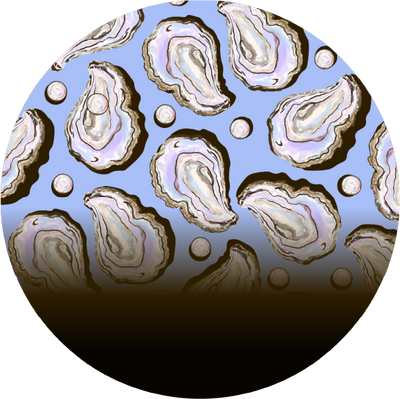 The Sandstone Shells