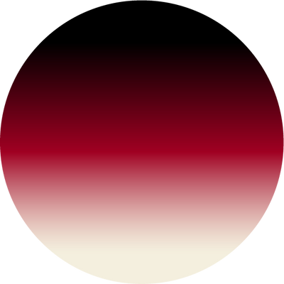 The Jolly Roger