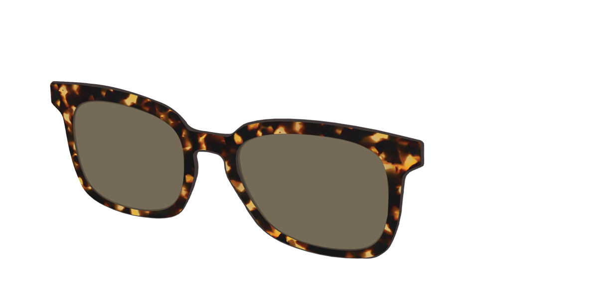 The Non-Polarized Tortoise Sun Top - Angle Top Image - Pair Eyewear