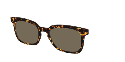 The Non-Polarized Tortoise Sun Top - Angle Top Thumbnail - Pair Eyewear