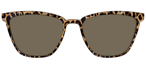 The Izzy - Lensless