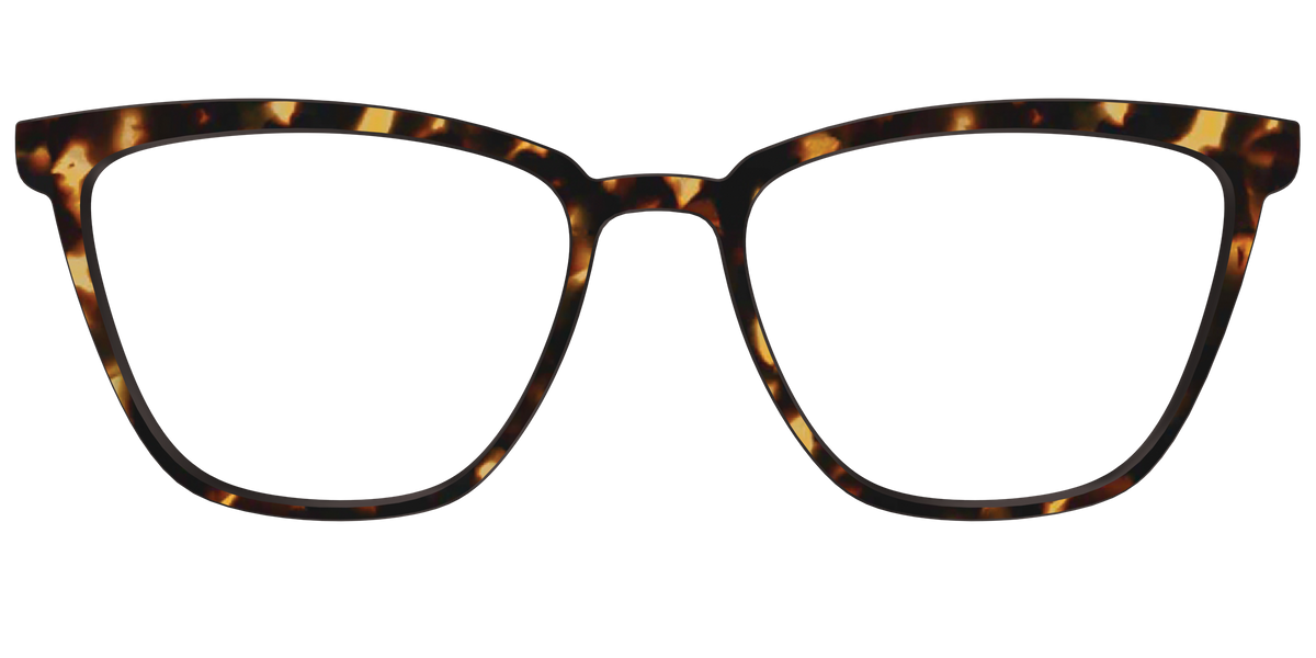 The Tortoise - Front Top Image - Pair Eyewear