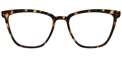 The Tortoise - Front Top Thumbnail - Pair Eyewear