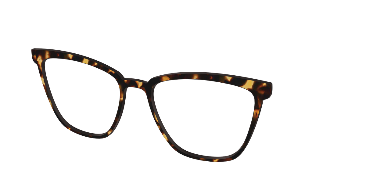 The Tortoise - Angle Top Image - Pair Eyewear