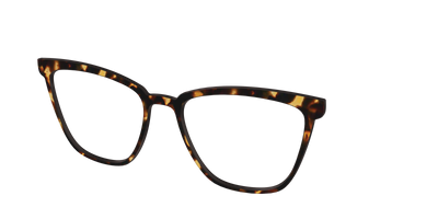 The Tortoise - Angle Top Thumbnail - Pair Eyewear