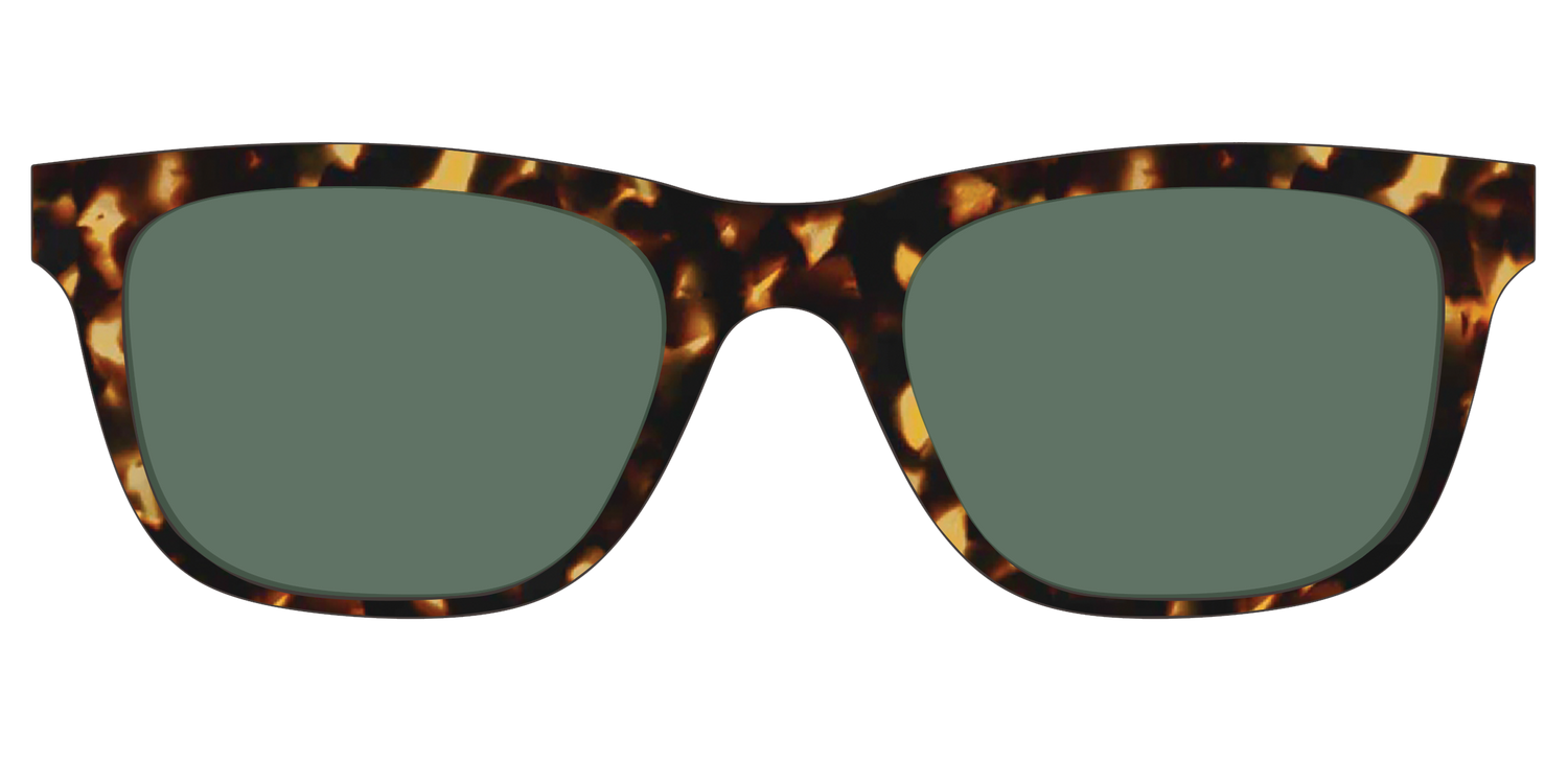 The Non-Polarized Green Tortoise Sun Top - Front Top Image - Pair Eyewear
