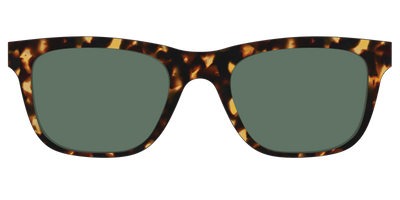 The Non-Polarized Green Tortoise Sun Top - Front Top Thumbnail - Pair Eyewear