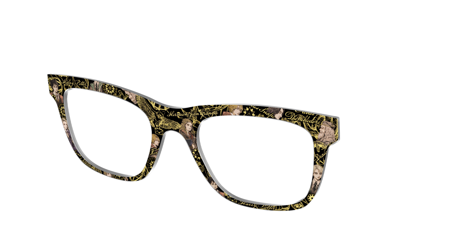 The Harry Potter Toile - Angle Top Image - Pair Eyewear