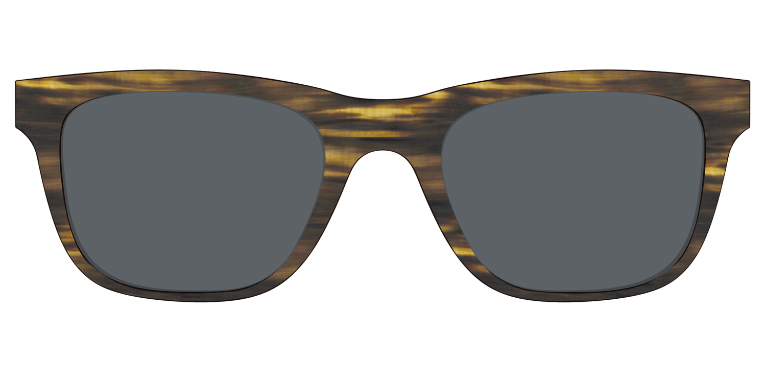 The Polarized Horn Sun Top - Front Top Image - Pair Eyewear